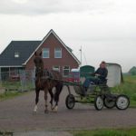 paard van fam Haarsma